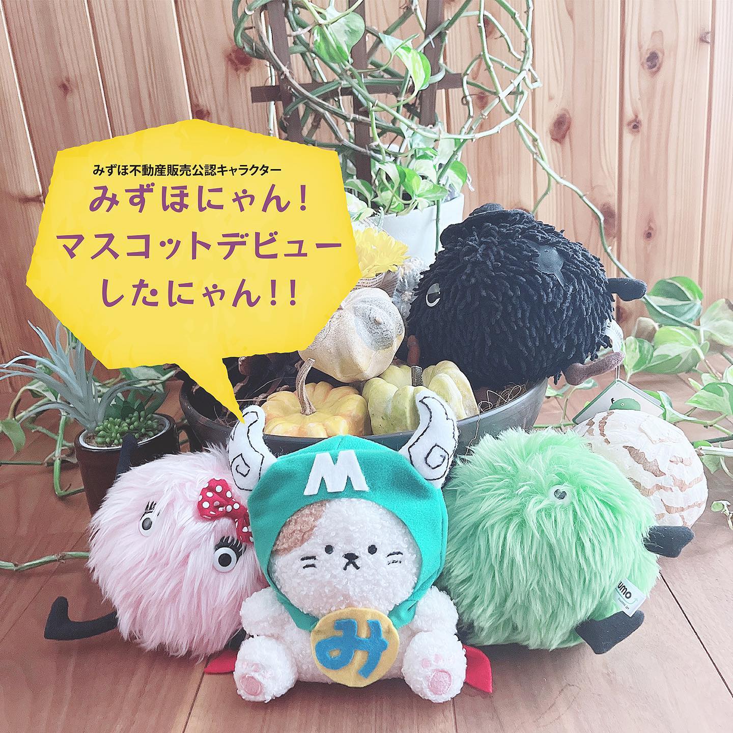 Instagramより投稿