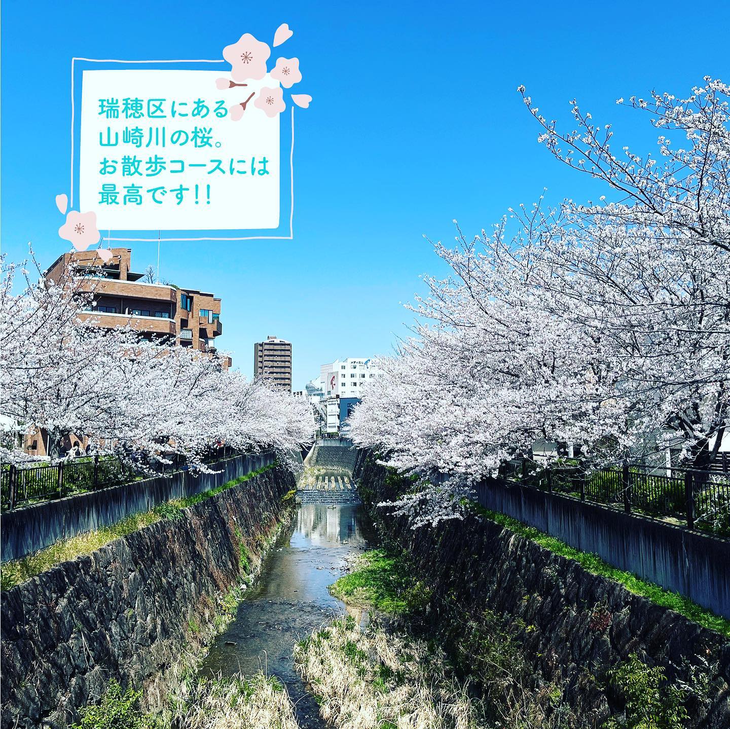 Instagramより投稿