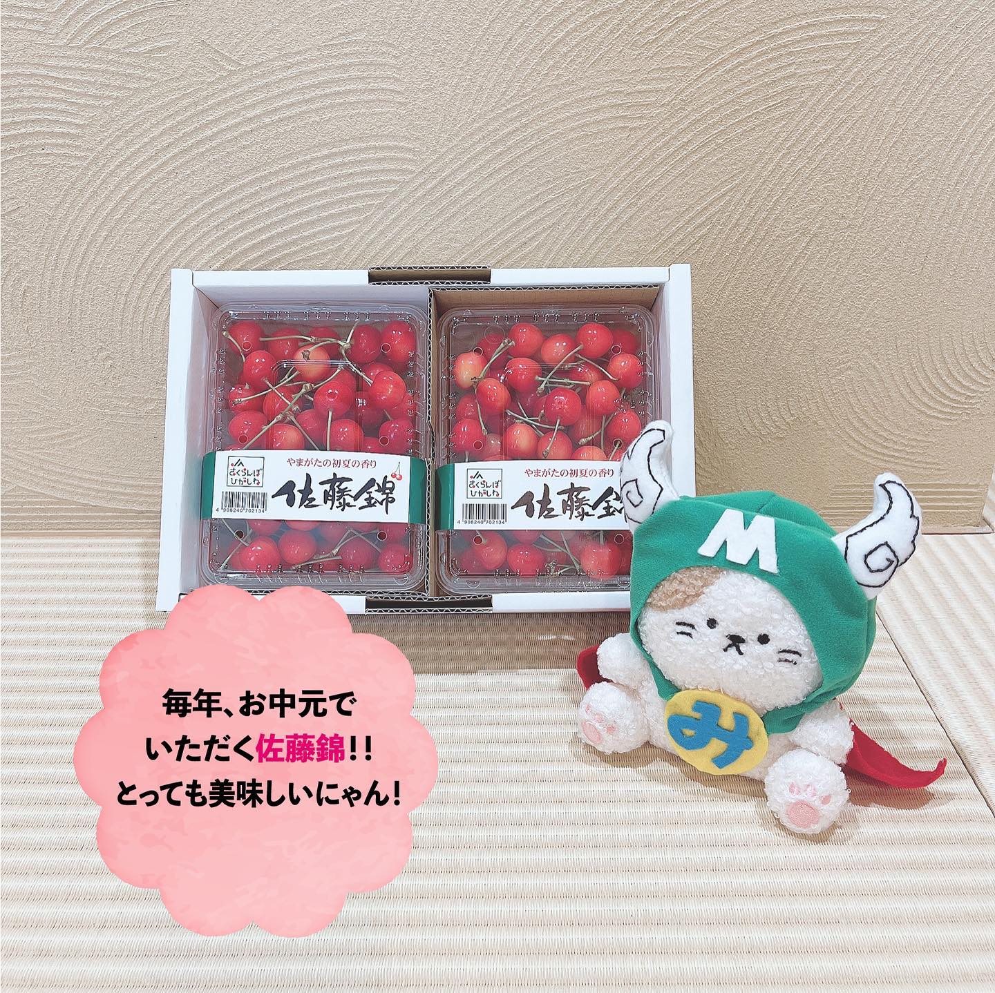 Instagramより投稿