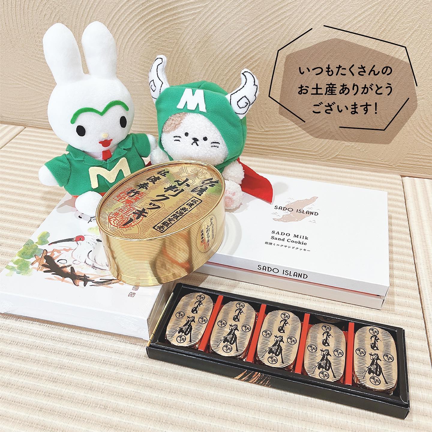 Instagramより投稿