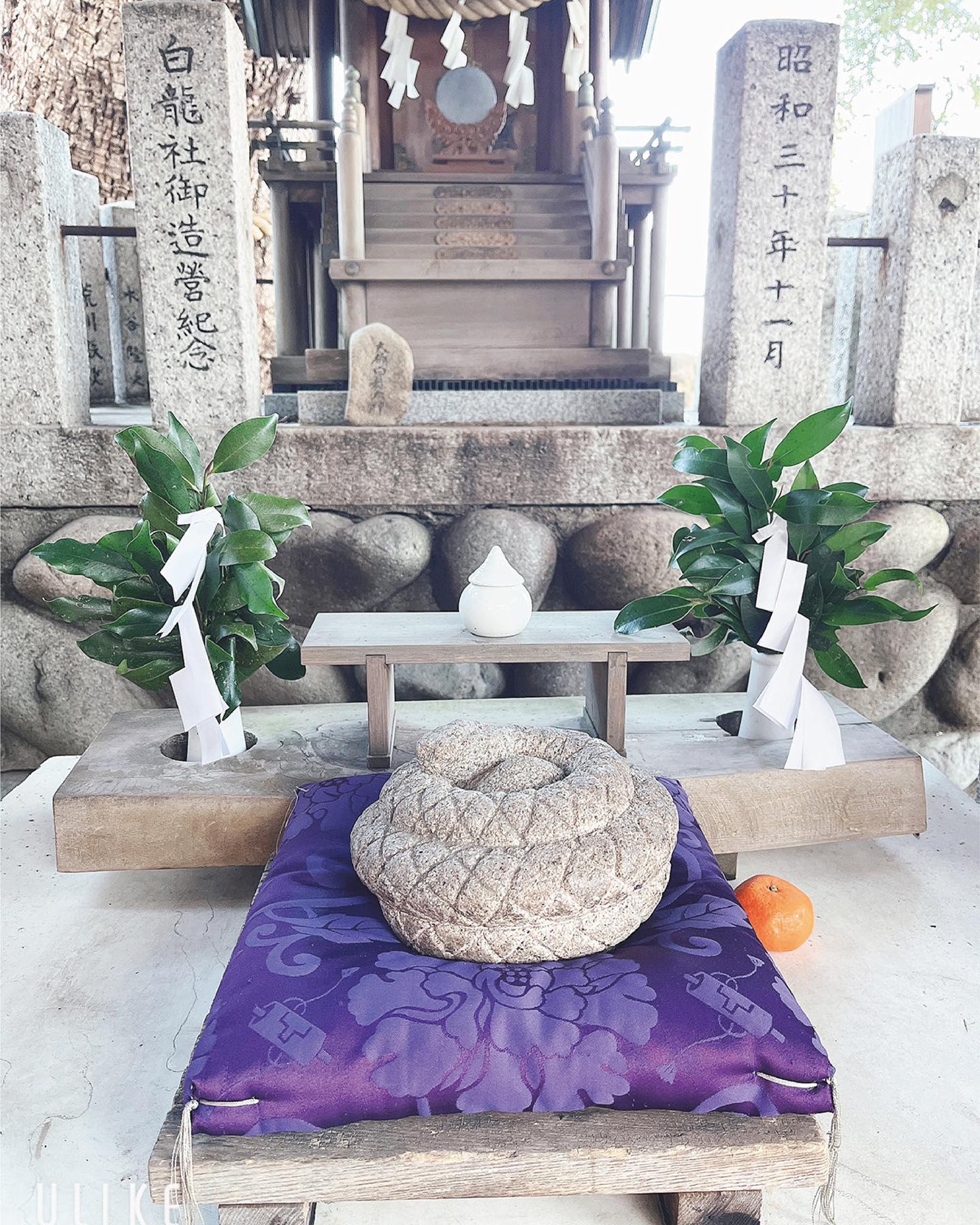 Instagramより投稿