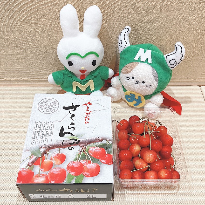 Instagramより投稿