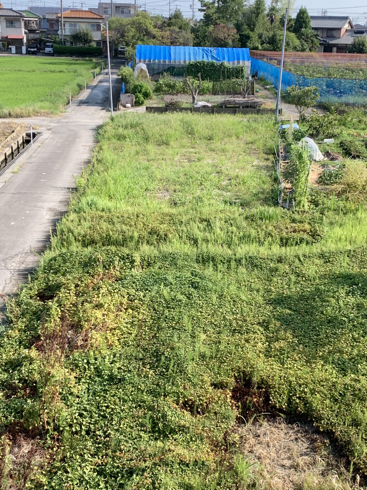 稲沢市木全