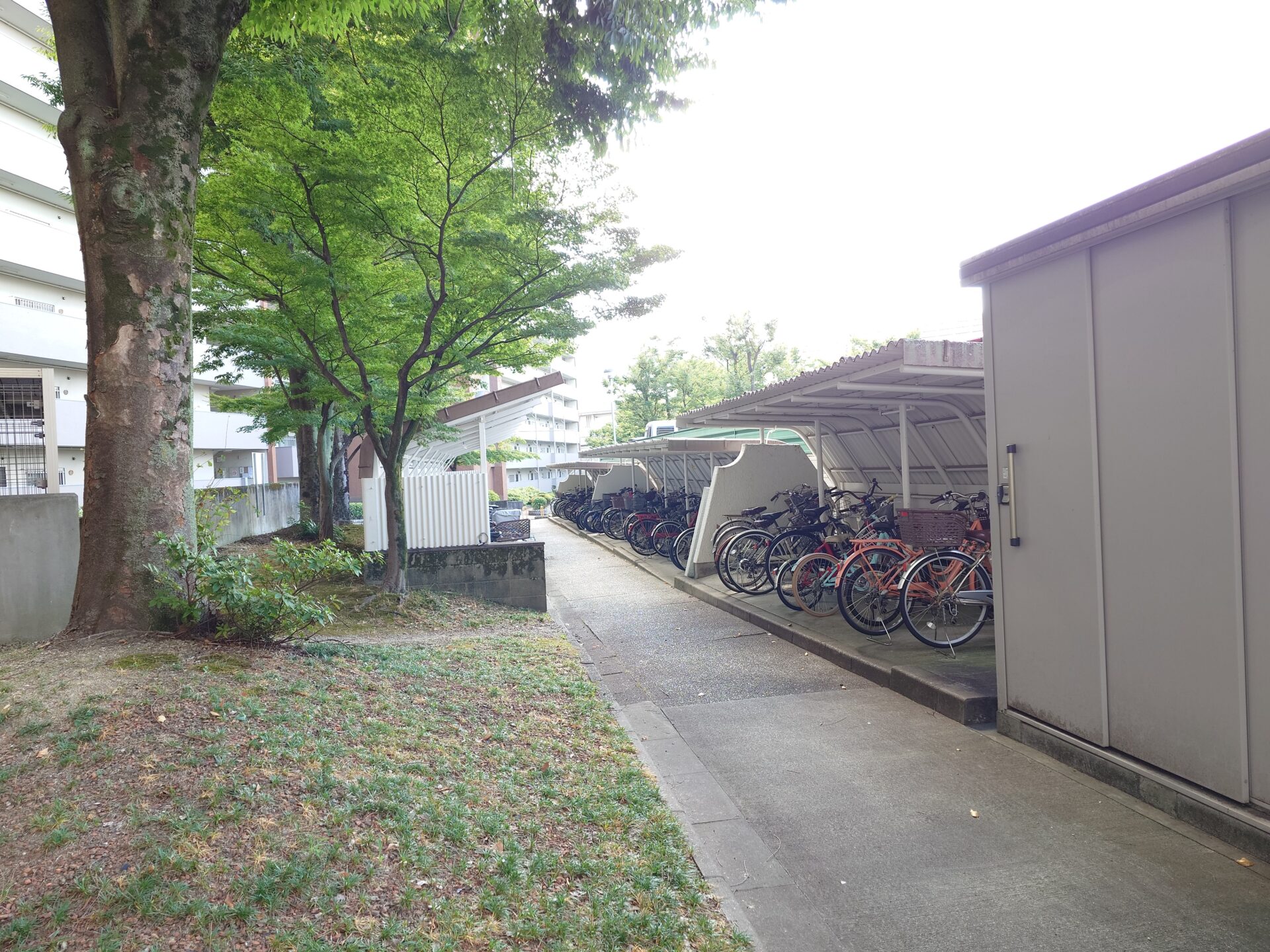 高針北住宅C棟506